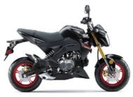 2019 Kawasaki Z125 Pro